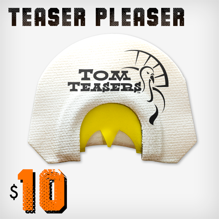 TT-12 Teaser Pleaser 3 Reed