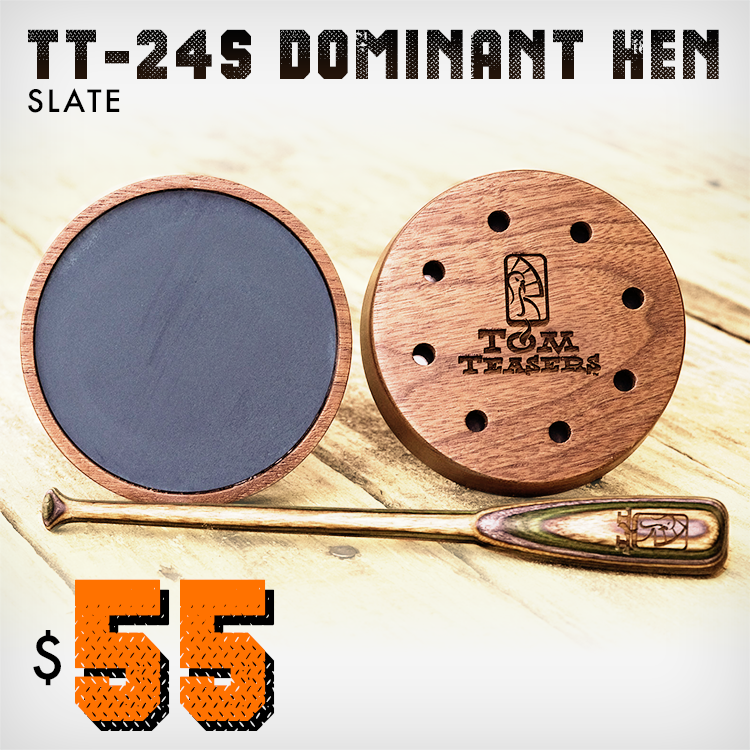 TT-24S Dominant Hen Slate