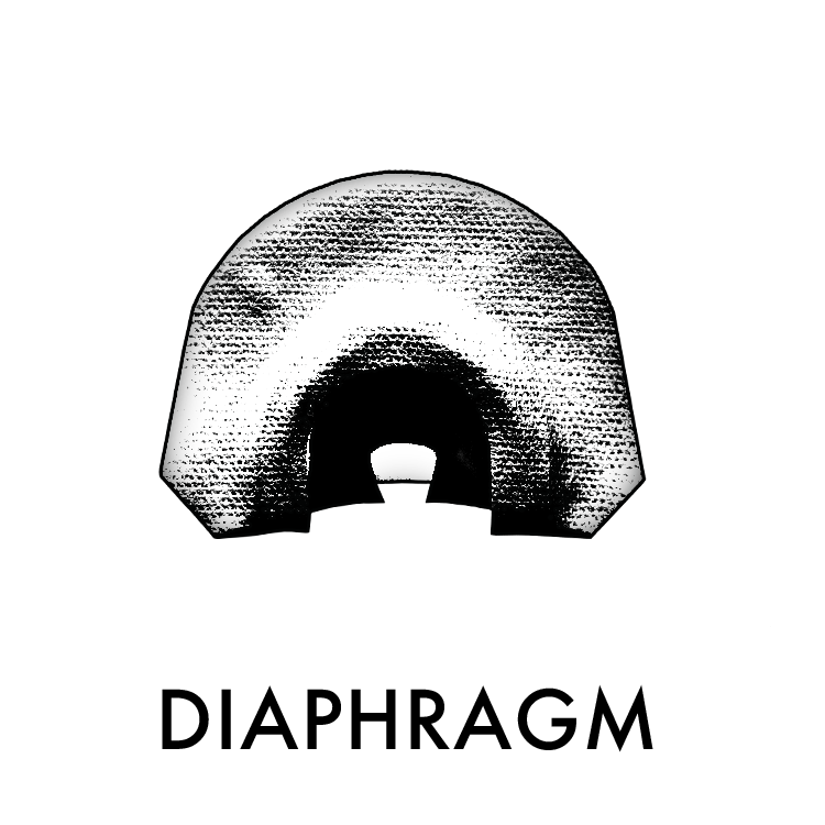 Diaphragm