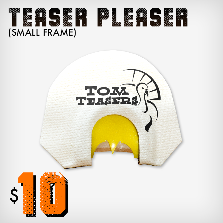 TT-SM12 Teaser Pleaser